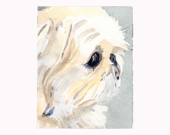 Note Cards Shih Tzu Pen and Ink Stationary Cards 10 pack. Greeting Cards 