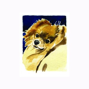 Red Pomeranian Blank Greeting Cards