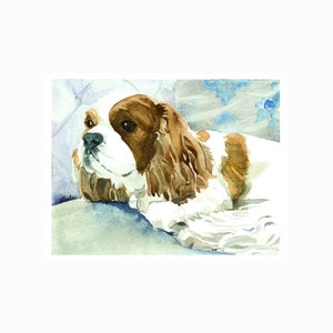 Blanco Cavalier King Charles-kaarten