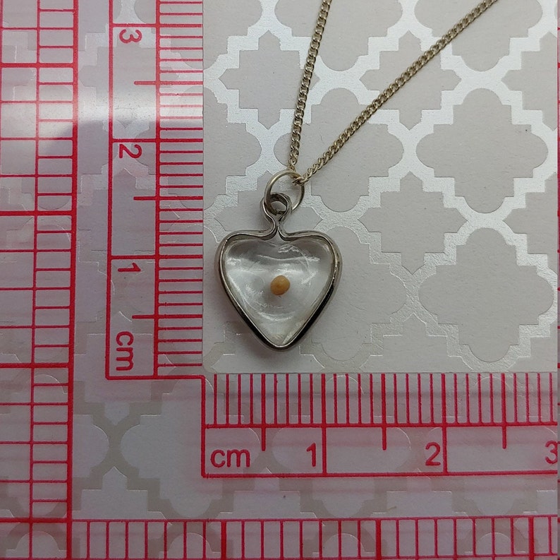 May include: A silver heart-shaped pendant necklace with a clear glass insert containing a small, light brown seed. The necklace is measured against a ruler in centimetres.