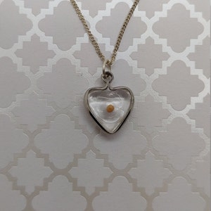 May include: A silver heart-shaped pendant necklace with a small, round, light brown seed inside. The pendant is clear and the seed is visible.