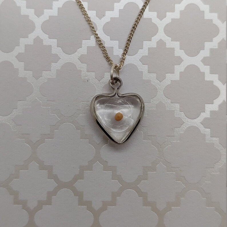 May include: A silver heart-shaped pendant necklace with a small, round, light brown seed inside. The pendant is clear and the seed is visible.