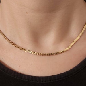 May include: A gold chain necklace with a box chain design. The chain is thin and delicate.