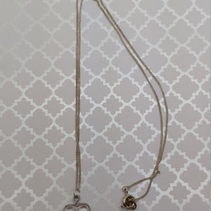 May include: A silver chain necklace with a heart-shaped pendant. The pendant is clear and contains a small, light brown seed inside.