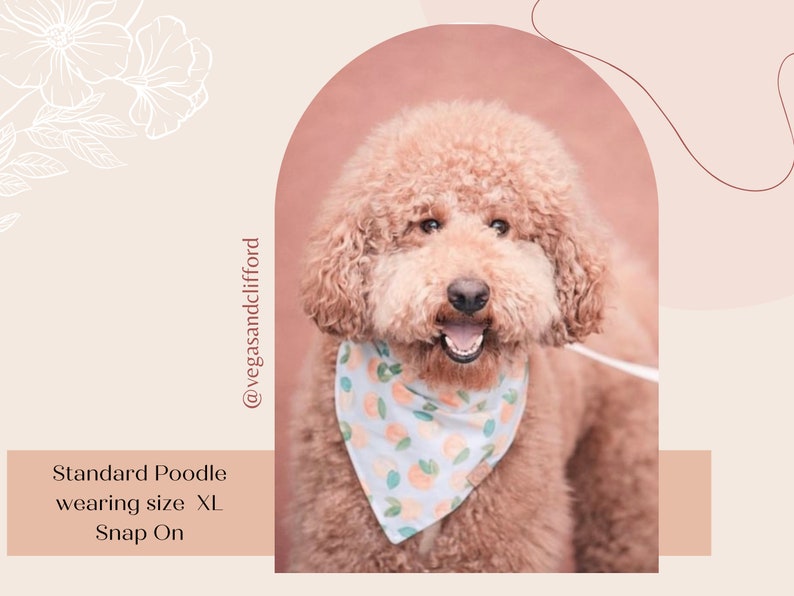 Peaches Dog Bandana Peachy Fruit Spring Over the Collar Etsy