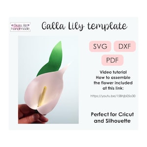 Cricut Fiori di carta, Calla Lily, fiori art, fiori di feltro, fiori di stoffa, svg, pdf