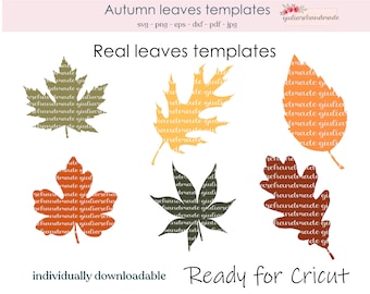 Fall svg, Autumn svg, svg files for cricut, 6 beautifull autumn leaves templates SVG ready for Cricut and Silhouette.