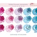 Rolled flower svg, paper flower svg, digital download, digital paper Svg, Pdf, Jpg 300 dpi