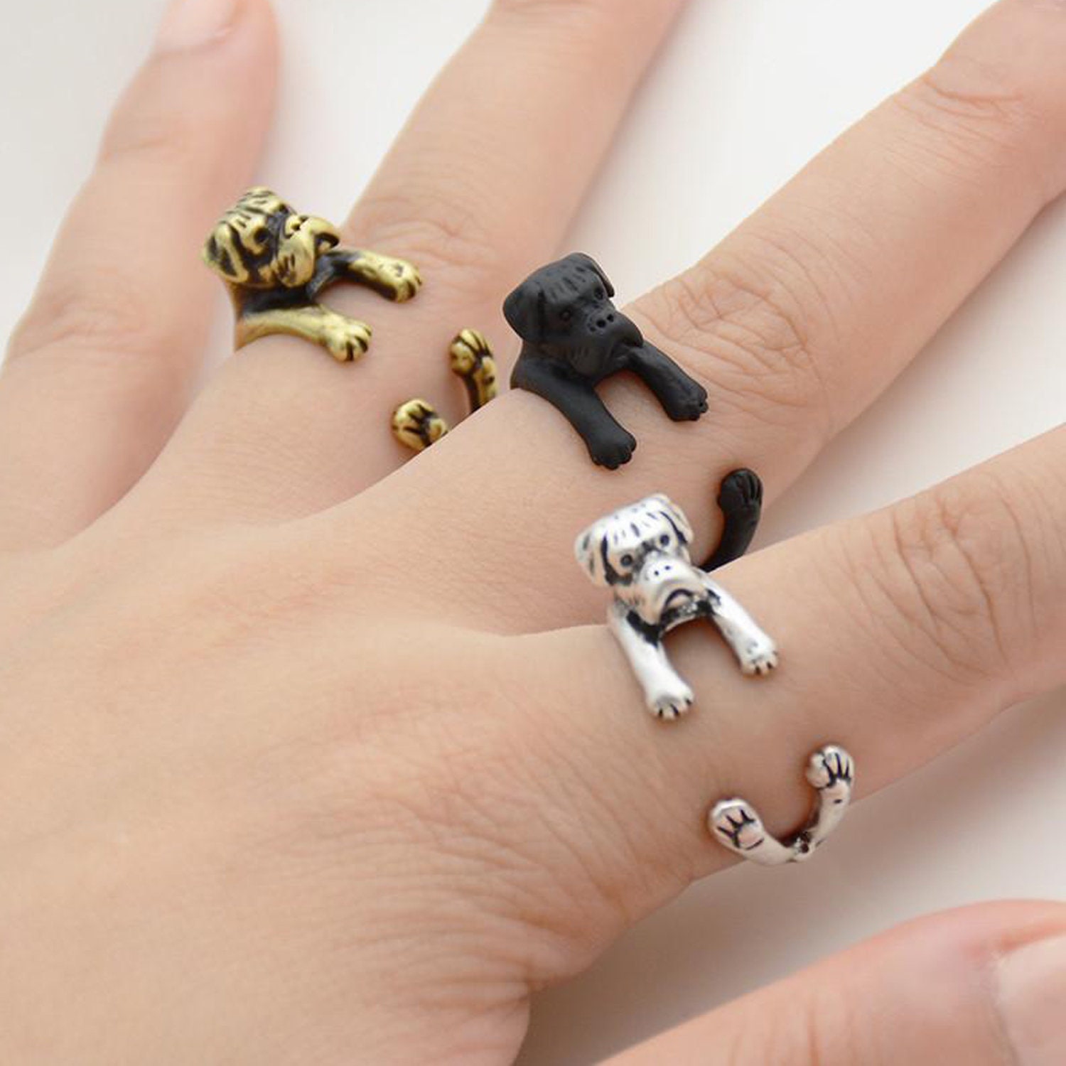 boxer dog ring