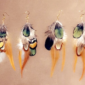 Feather Multi Earrings