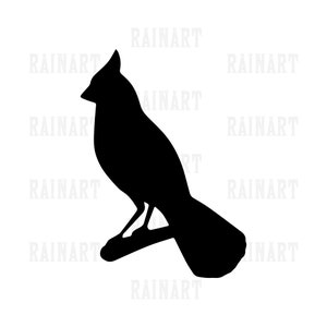 Cardinal 3 Svg - Cardinal Design - Vecteur d'oiseau - Observateur d'oiseaux - Amateur d'oiseaux - Fichier AI - Png - Jpg - Design For Kids