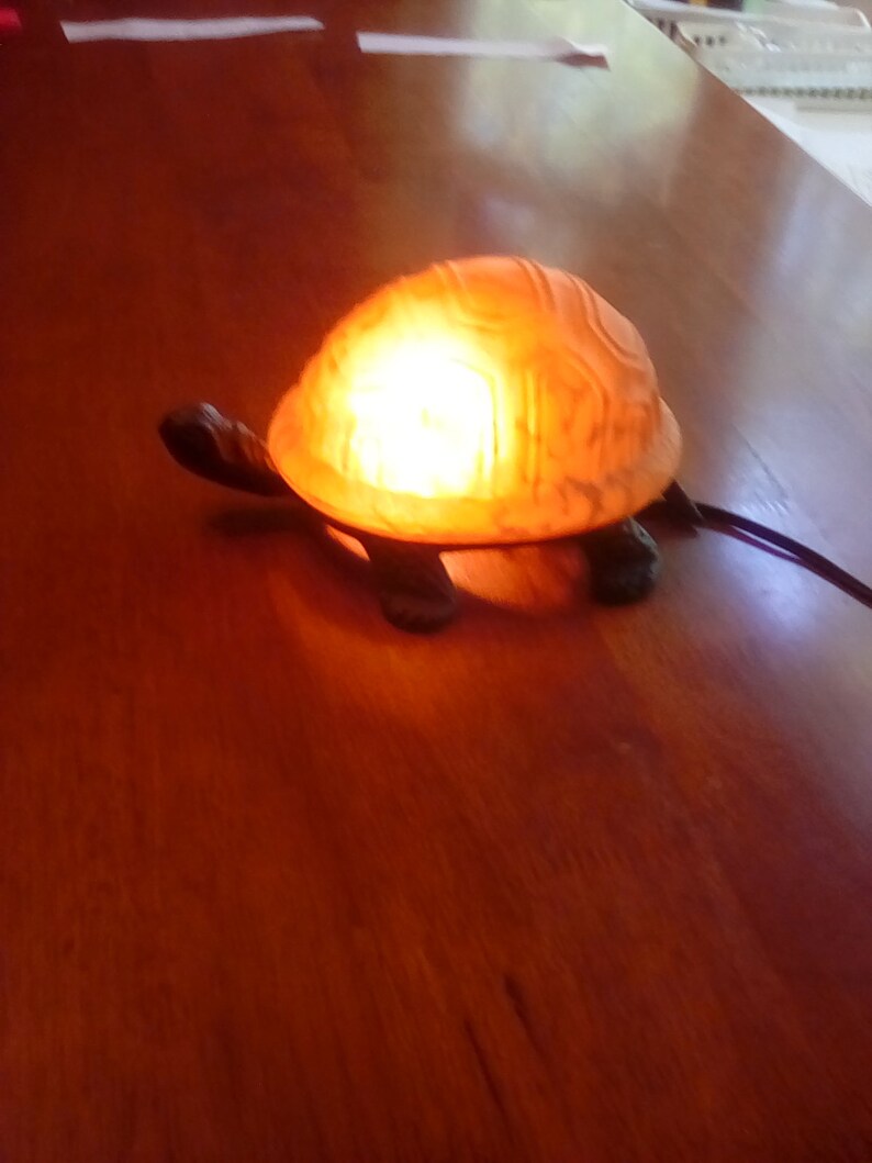 Turtle night light table lamp Etsy