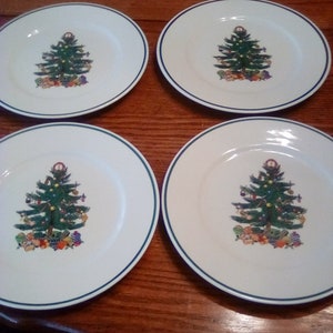 Set of 4 larger dinner plates