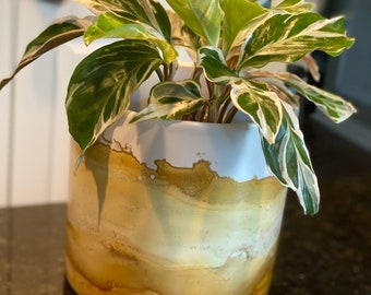 Golden Milk Handpainted Plant Pot