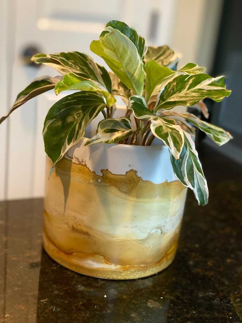 Golden Milk Planter Pot