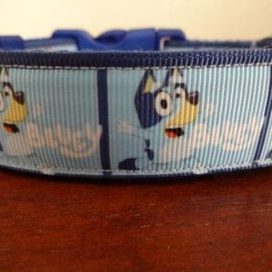 Bluey Adjustable Dog Collar, 25mm Wide