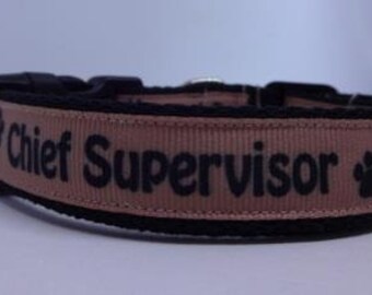 Chief Supervisor Adjustable Dog Collar, 20mm Wide, Made in Australia.