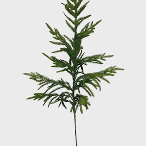 Real Touch Artificial Norfolk Pine Stem - 36&quot; Holiday Greenery