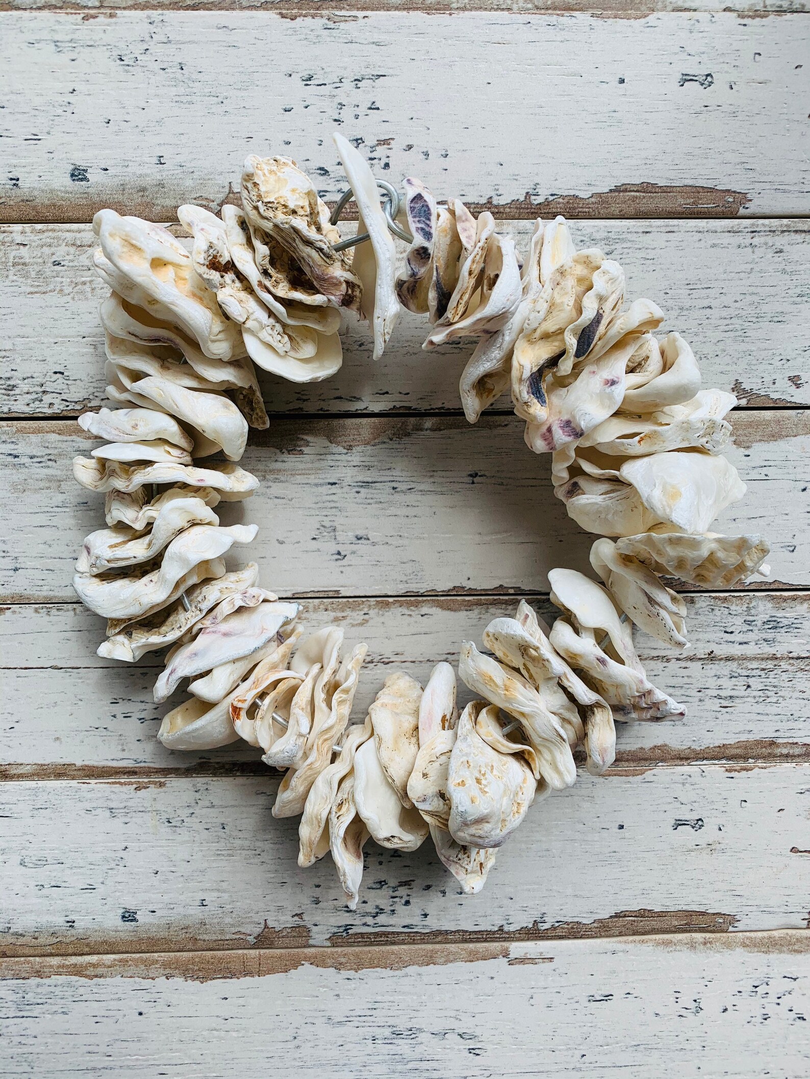 Oyster Wreath the Worlds Your Oyster Coastal Wreath Etsy UK