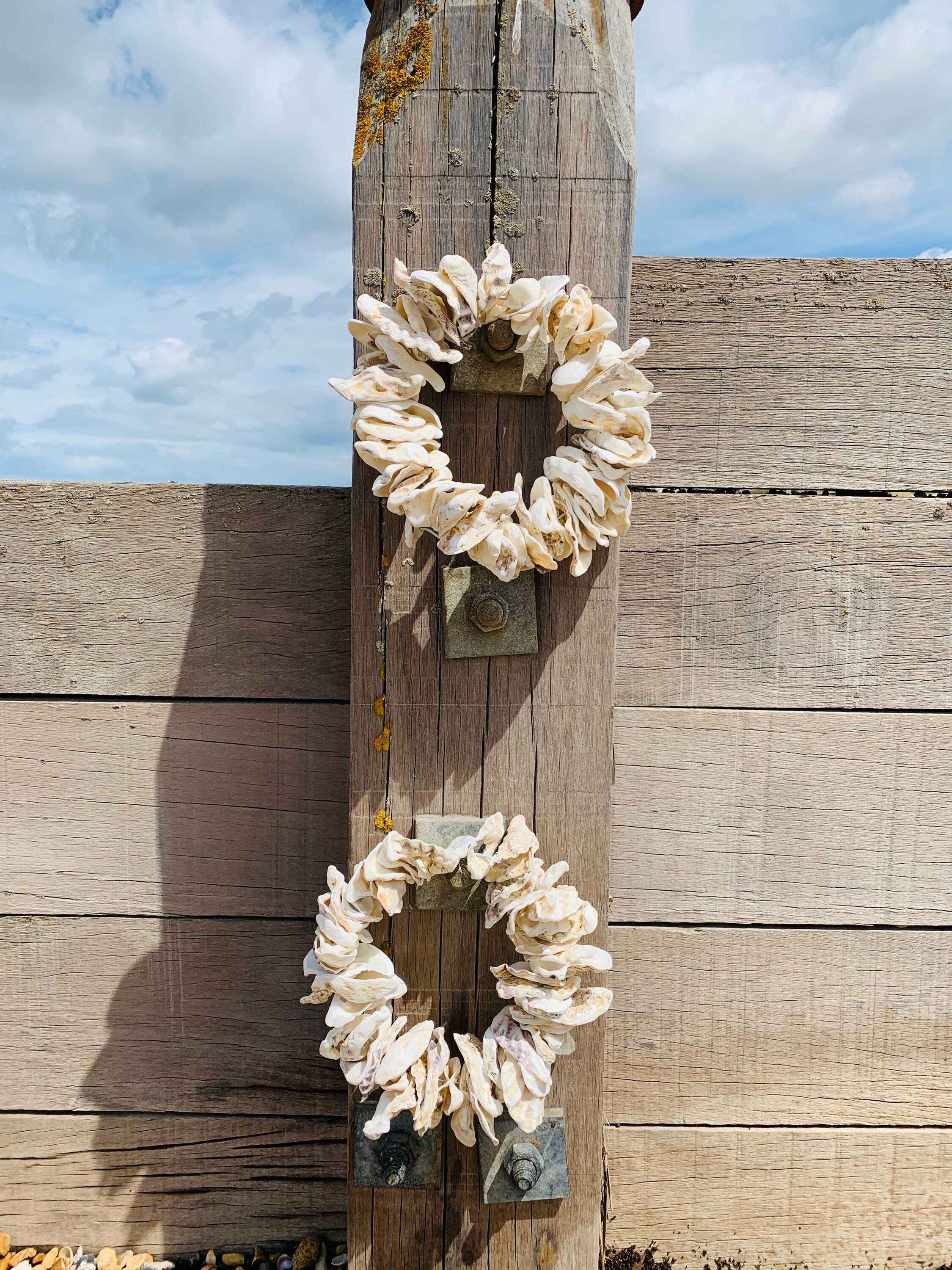Oyster Wreath the Worlds Your Oyster Coastal Wreath Etsy UK