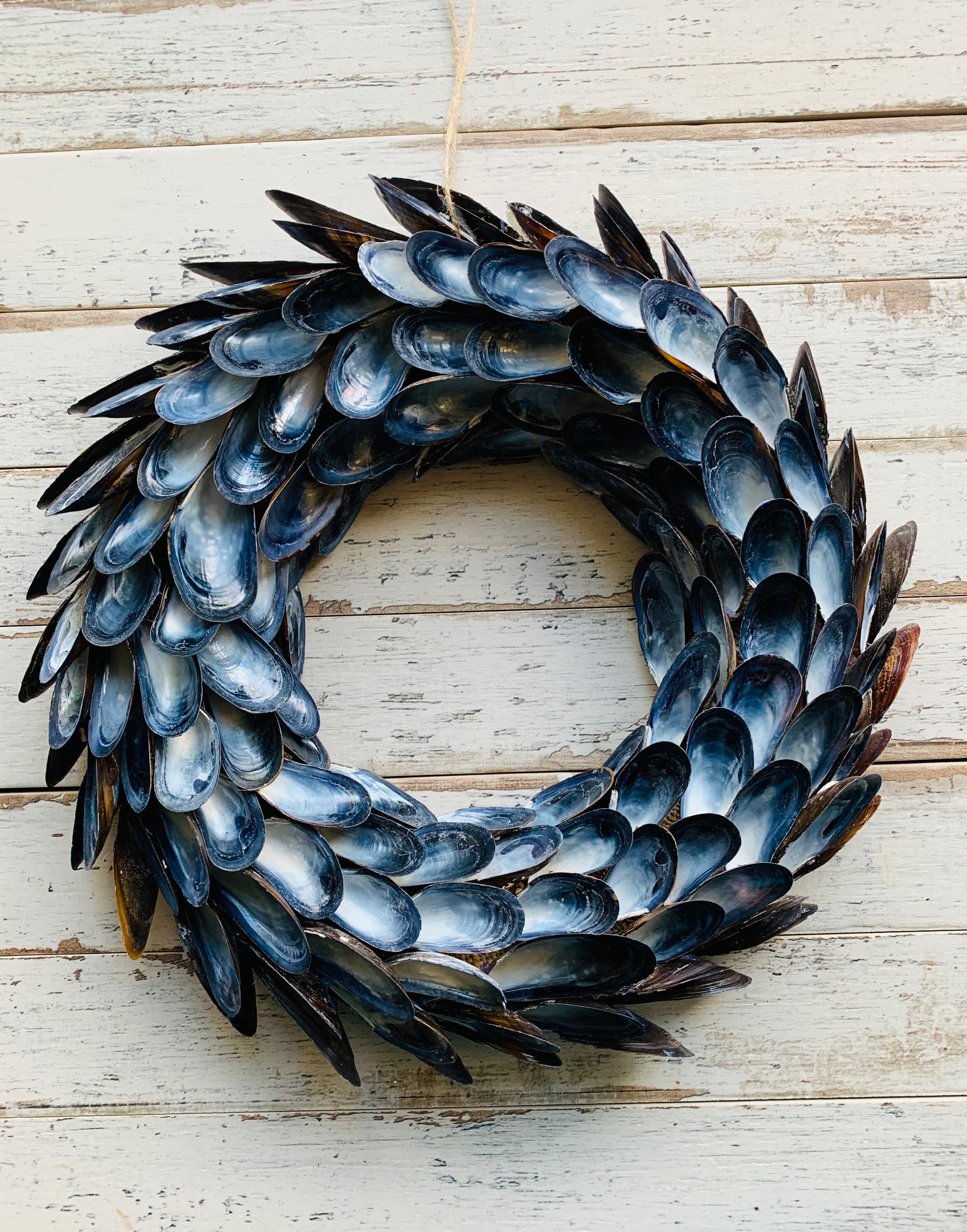 Muscle Shell Wreath XL Mussel Wreath, Wreaths Made With Seashells, Wreaths Made for Beach ...