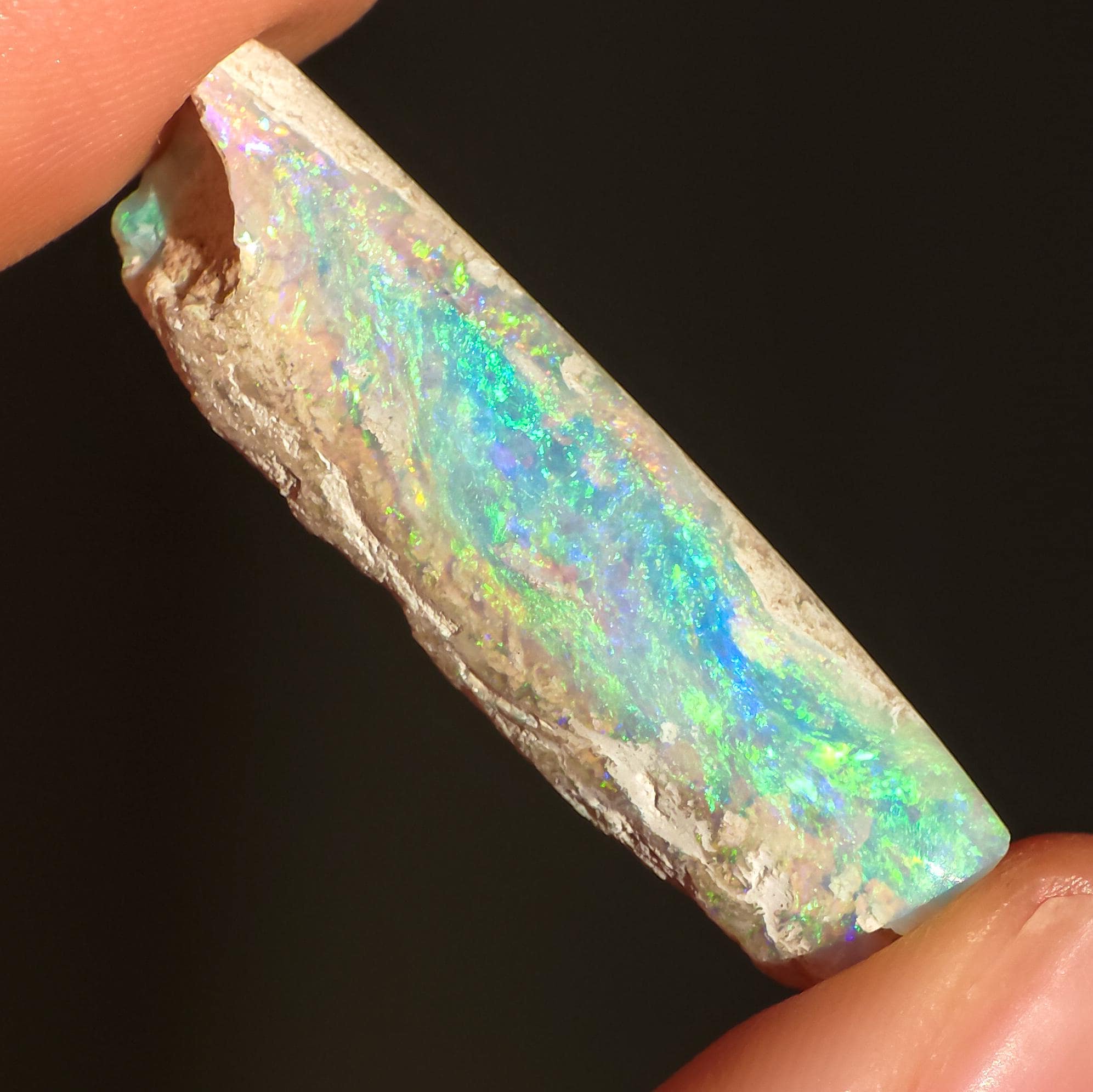 豪州産 Belemnite Opal 白亜紀化石標本 豪州産 Belemnite Opal 白亜紀化石標本