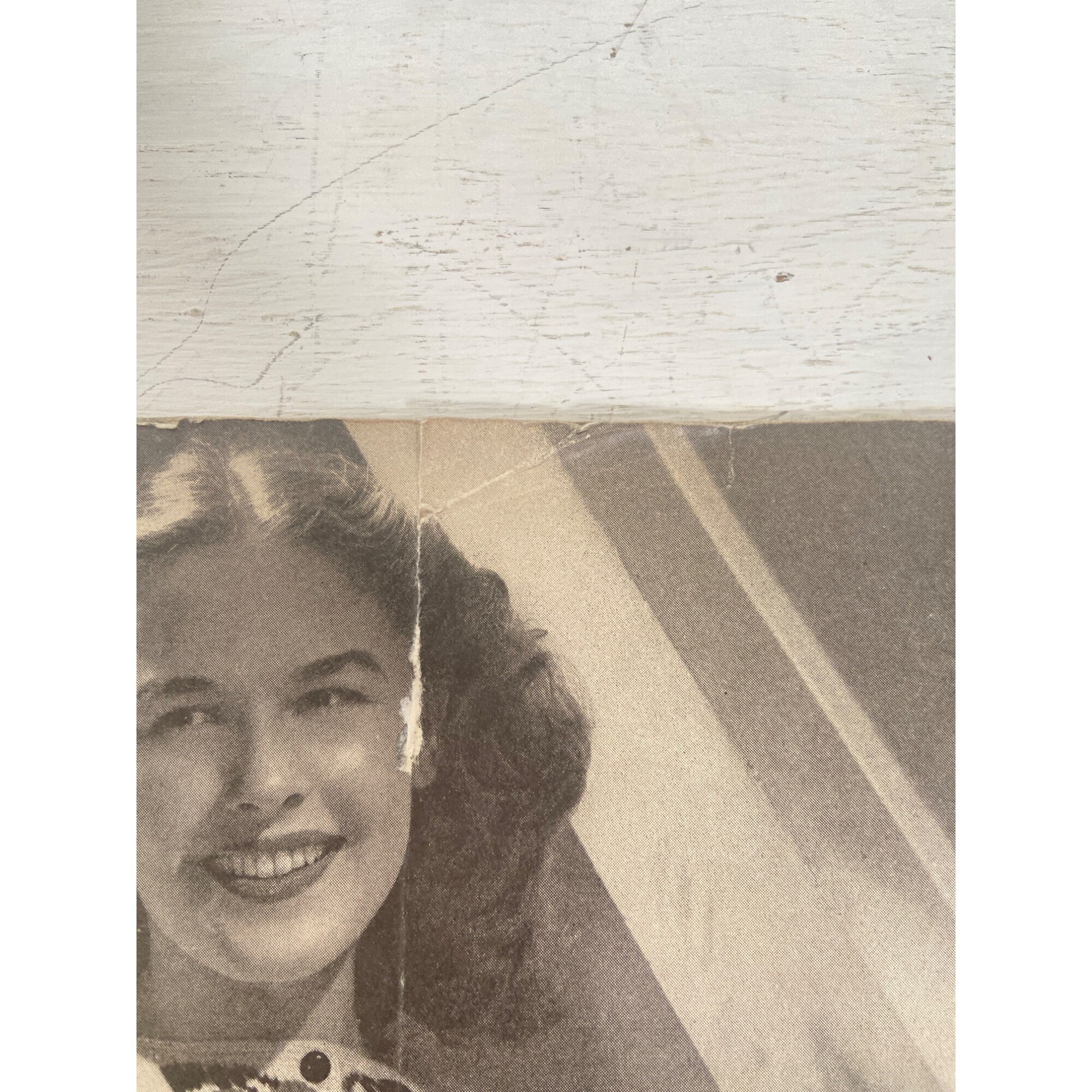 Vintage Alice Brooks Design Pattern Catalog Etsy