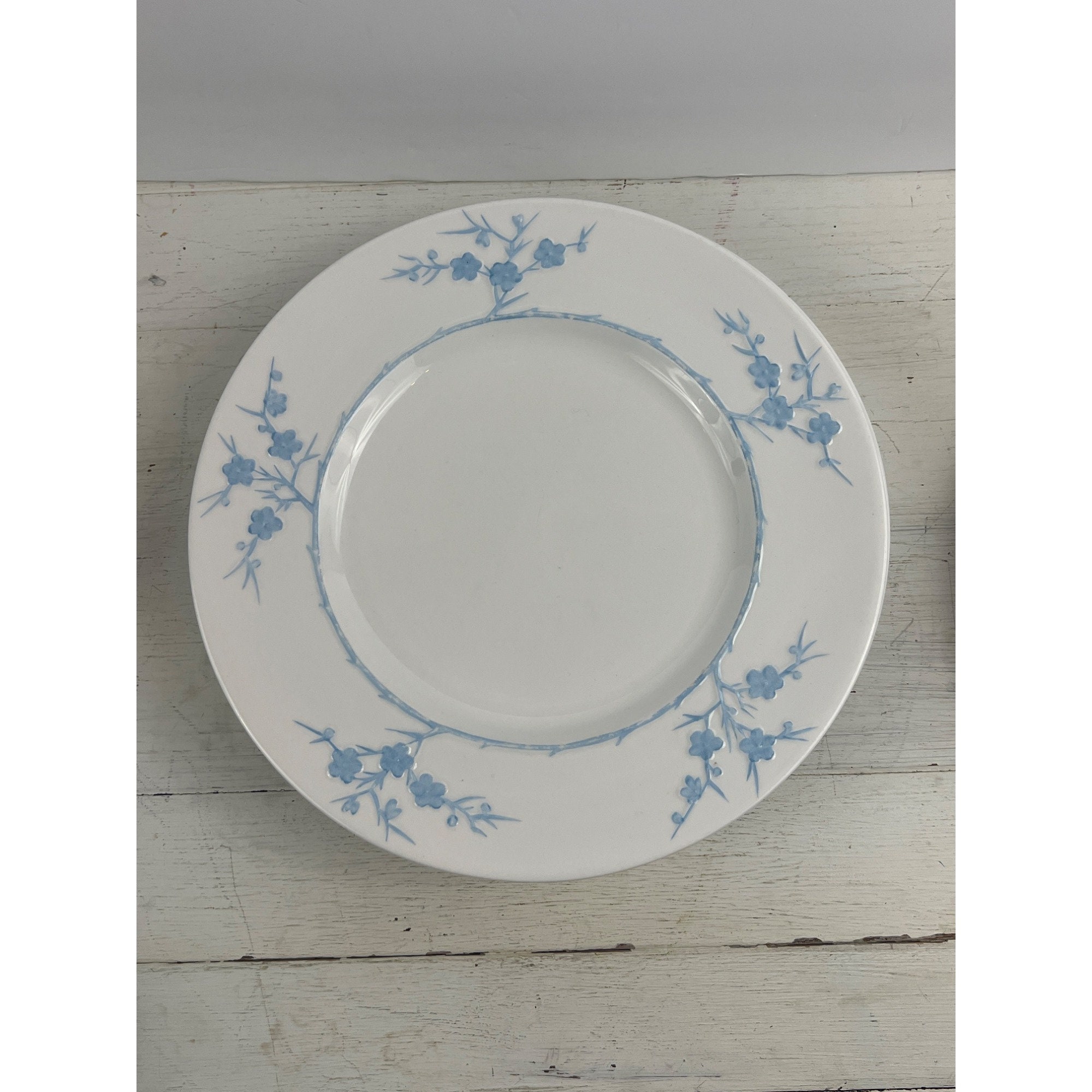 Spode GEISHA LIGHT BLUE Cup & Saucer Vintage Blanche de Chine Shape Y3456 A