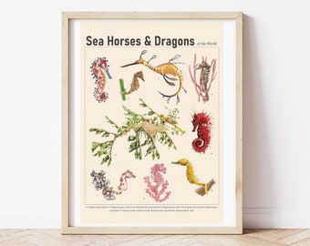 Sea Horse Art Print, Ocean Wall Art, Seaside Art, Bathroom Print, Gallery Wall, Vintage Print, Hand Drawn Illustration