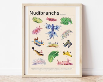 Nudibranchs of the World / Sea Slug Art Poster, Seaside Art, Gallery Wall, Ocean Art Wall Decor, Hand Drawn Illustration