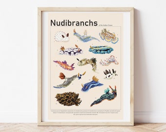 Nudibranch / Sea Slug Art Print, Ocean Art Wall Decor, Seaside Art, Bathroom Print, Gallery Wall, Vintage Print, Hand Drawn Illustration