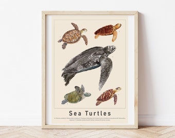 Sea Turtle Art Print, Ocean Wall Art, Seaside Art, Bathroom Print, Gallery Wall, Vintage Print, Hand Drawn Illustration