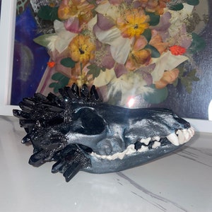 Crystalized Coyote Skull
