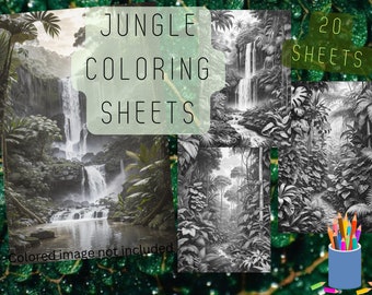 Folhas para colorir da selva