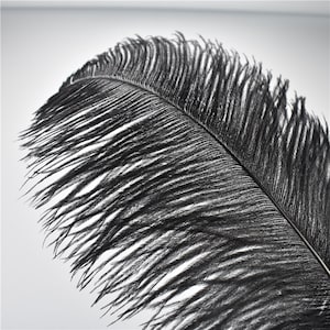 100 Pcs black Ostrich Feather for Crafts Wedding Decoration Natural Feather Table Centerpieces Party diy Accessories Carnival Plumes image 4