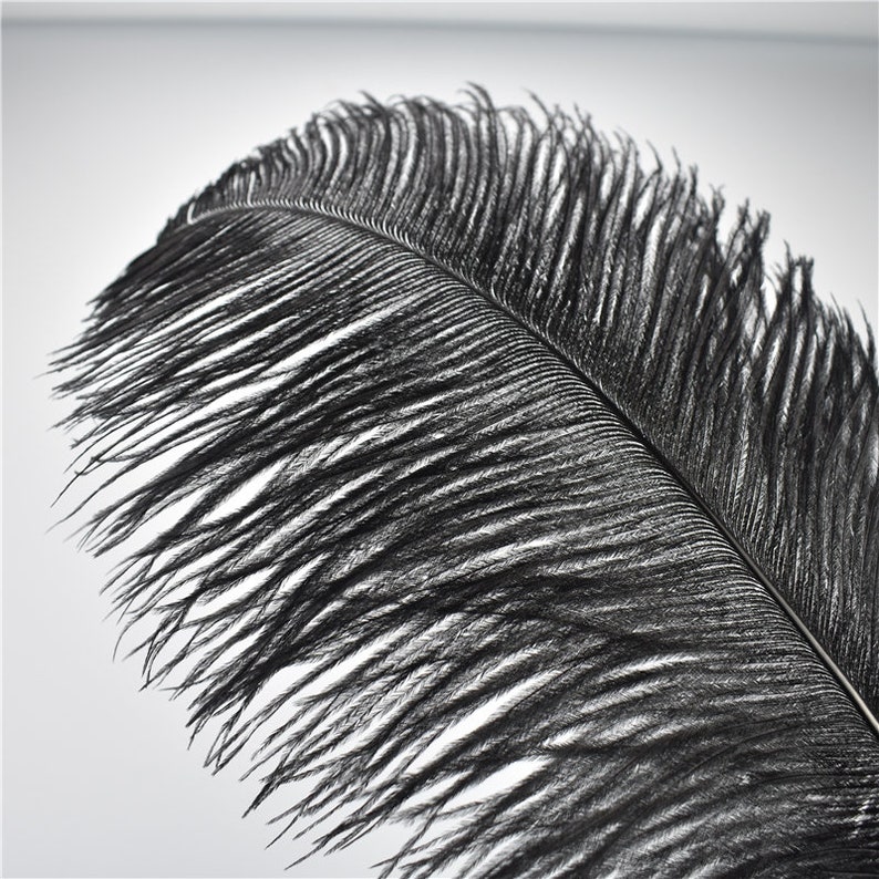 100 Pcs black Ostrich Feather for Crafts Wedding Decoration Natural Feather Table Centerpieces Party diy Accessories Carnival Plumes image 4