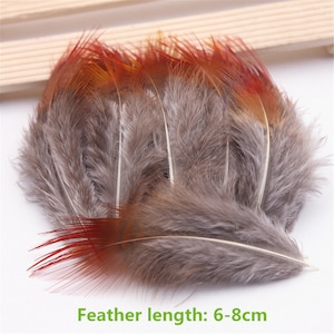 High Quality 500pcs/lot  Beatiful Natural pheasant Feather 5-7cm  Decorative Diy Clothing Accessories