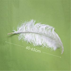 Romantic White Ostrich Feathers 10pcs Wedding Decoration Handmade diy Craft Feather 6-32 Optional image 9