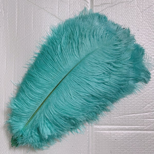 100 Pcs Mint Green Ostrich Feather for Crafts Wedding Decoration Natural Feather Table Centerpieces Party diy Accessories Carnival