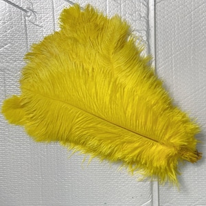 100 Pcs yellow Ostrich Feather for Crafts Wedding Decoration Natural Feather Table Centerpieces Party diy Accessories Carnival
