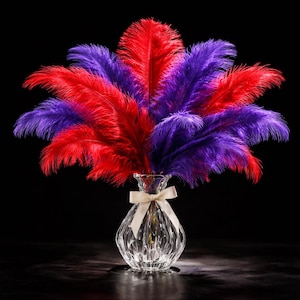 May include: A decorative glass vase, tied with a white ribbon, displays a colourful arrangement of red and purple feathers. The feathers are arranged in a fan shape, creating a striking visual contrast against the dark background.