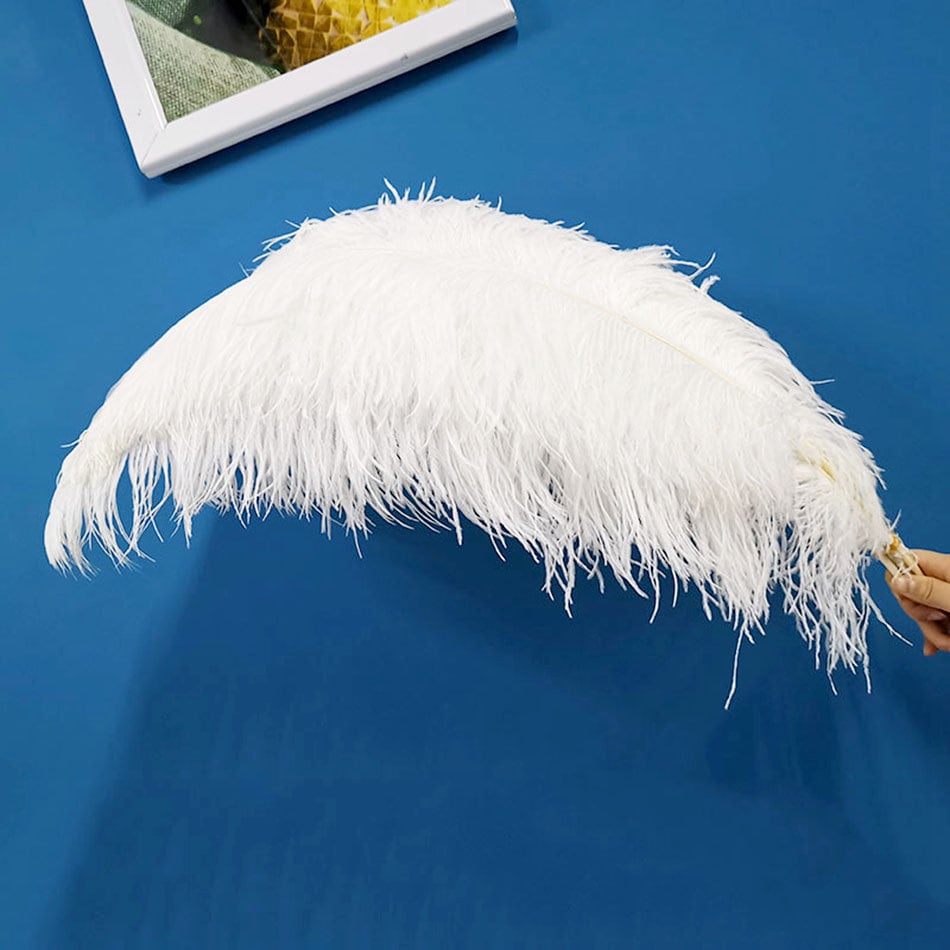 20pcs Natural Ostrich Feathers 10-12 Inches (25-30cm) Ivory Plumes For Wedding Decor, Costumes, Halloween & Parties