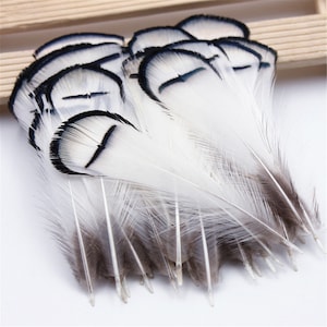 High Quality 100pcs/lot  Beatiful Natural pheasant Feather 6-8cm  Decorative Diy Clothing Accessories