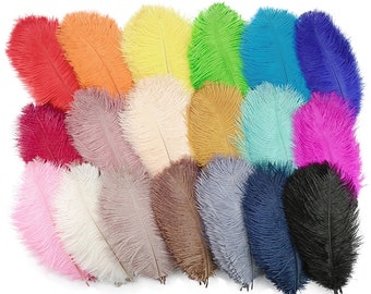 100 Pcs Plume d’autruche pour l’artisanat Décoration de mariage Plumes naturelles Table Centres de table Party bricolage Accessoires Carnaval Plumes 18 couleurs