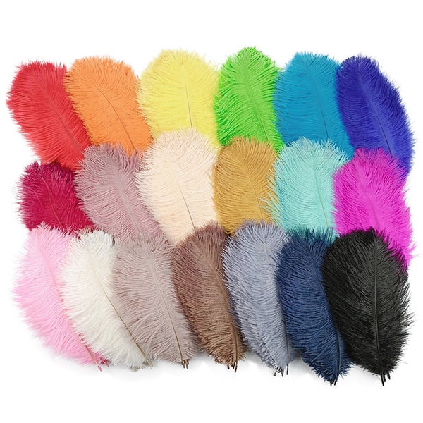 100 Stk. Straußenfeder zum Basteln Hochzeit Dekoration Natur Feder TischDekoration Party DIY Accessoires Karneval Plumes 18 Farben