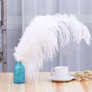 Romantic White Ostrich Feathers 10pcs Wedding Decoration Handmade diy Craft Feather 6-32 Optional image 3