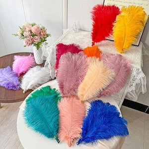 Può includere: Una collezione di piume di struzzo colorate in varie tonalità, tra cui rosso, giallo, blu, rosa e verde. Le piume sono disposte su una superficie bianca, con un vaso di fiori sullo sfondo. Adatte per lavori artigianali e decorazioni.
