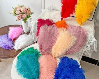 May include: A selection of vibrant ostrich feathers in a range of colours, such as red, yellow, blue, pink, and green. The feathers are displayed on a white surface, with a vase of flowers in the background. Ideal for craft projects and decorative purposes.