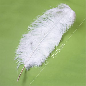 Romantic White Ostrich Feathers 10pcs Wedding Decoration Handmade diy Craft Feather 6-32 Optional image 10