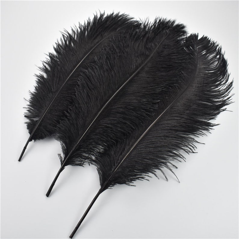 100 Pcs black Ostrich Feather for Crafts Wedding Decoration Natural Feather Table Centerpieces Party diy Accessories Carnival Plumes image 5